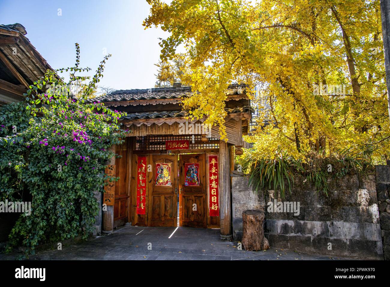 Sous solide est yunnan tengchong ville village de ginkgo ginkgo Banque D'Images