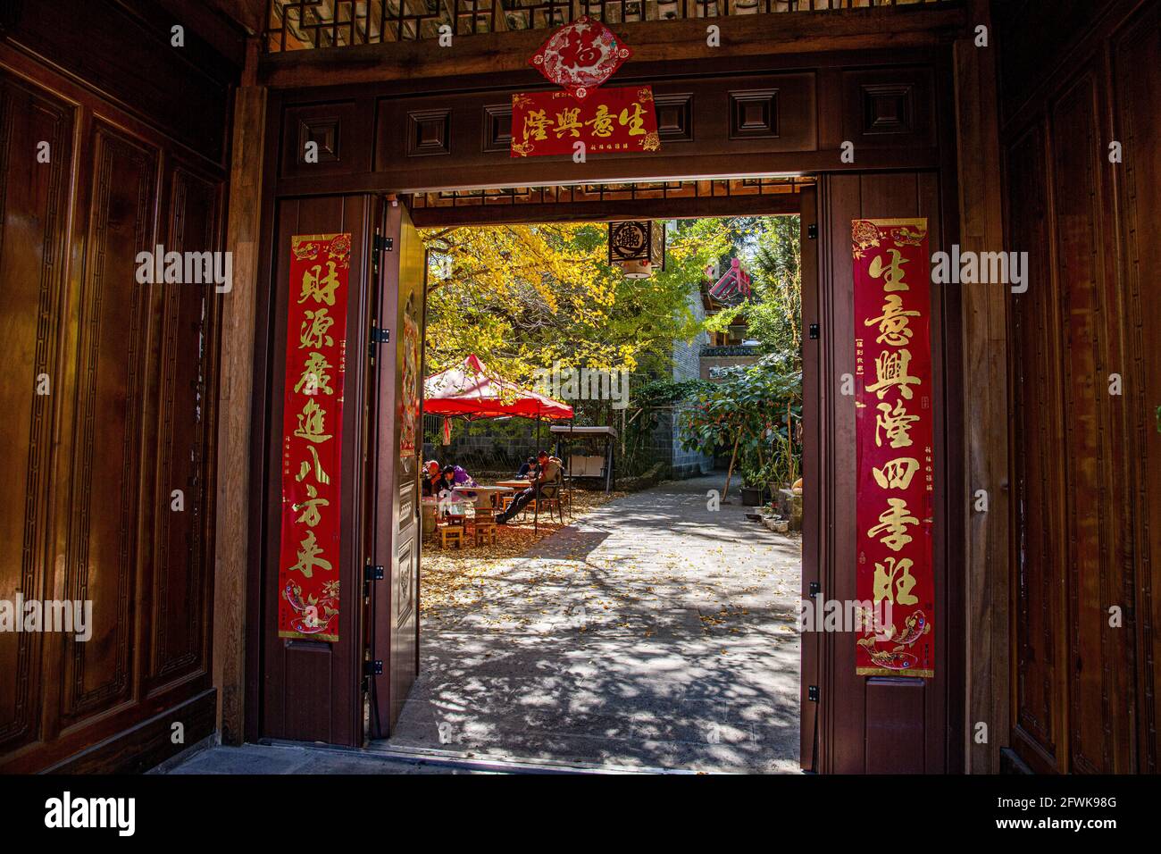 Sous solide est yunnan tengchong ville village de ginkgo ginkgo Banque D'Images