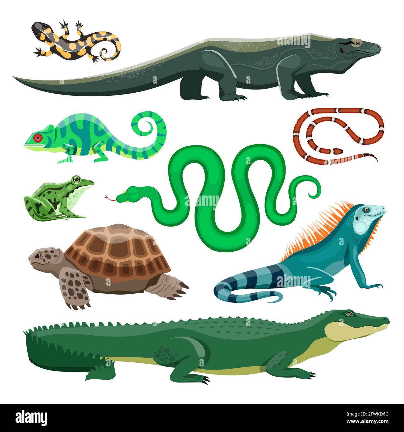 ISAKEN Marionnettes de Main, Marionnettes Réalistes de Crocodile Tortue Serpent Lézard Salamandre Grenouille Marionnettes en Peluche Marionnettes à Main pour raconter des histoires, enseigner l'école