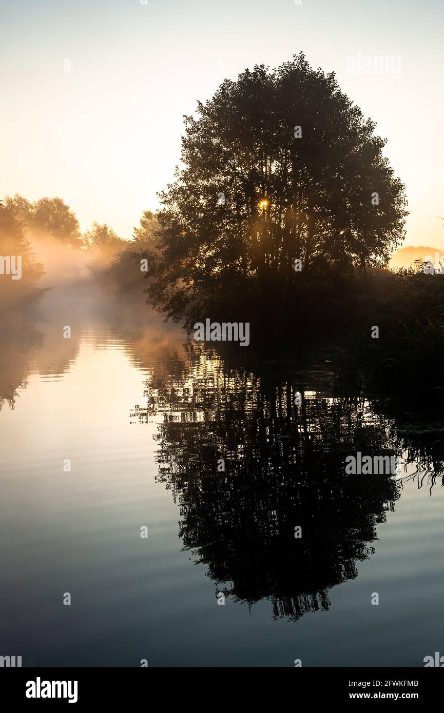 Lever de soleil tôt le matin avec brume et arbres près de l'eau, rivière avec des reflets dans le calme, beau paysage anglais de rivière Banque D'Images