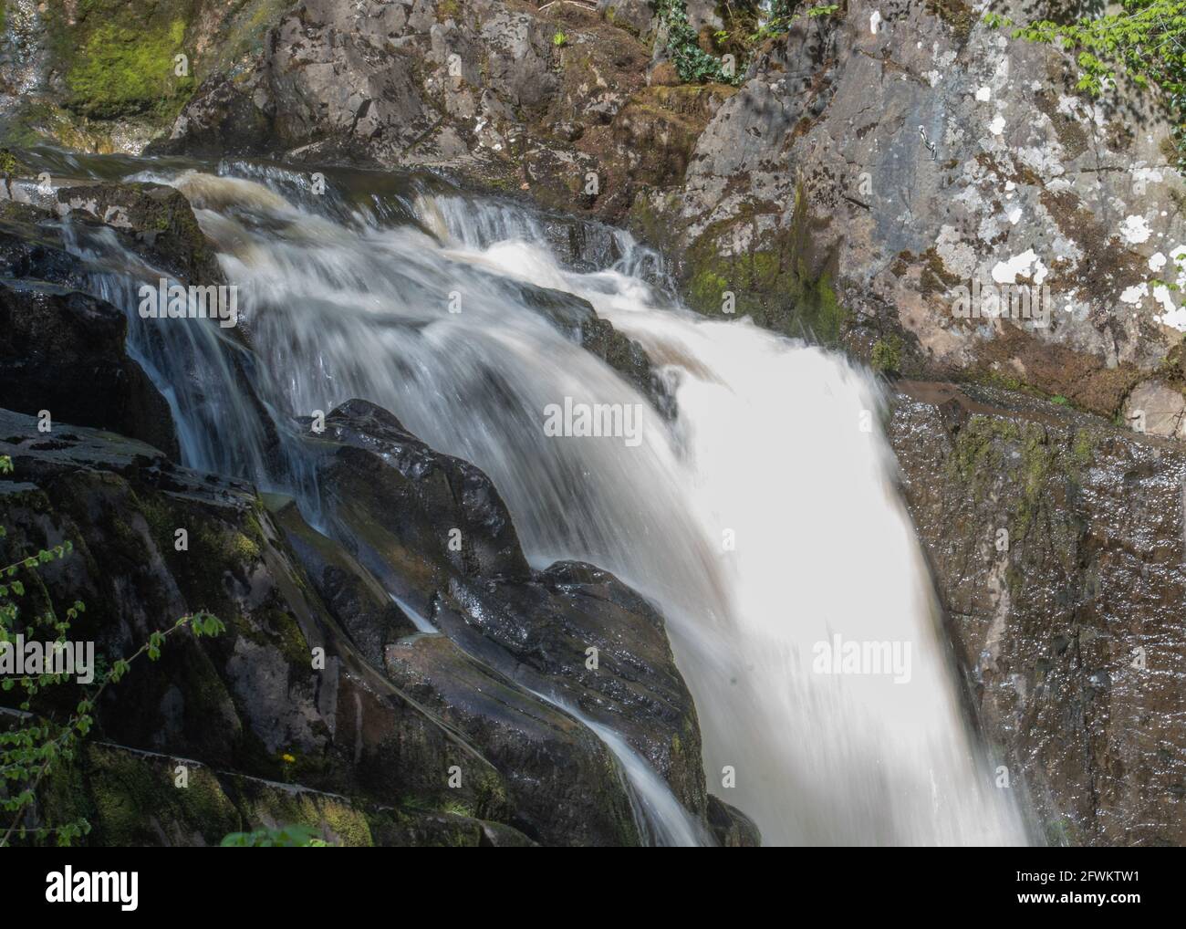 Ingleton Waterflesls Trail, Yorkshire Dales, Angleterre, Royaume-Uni Banque D'Images