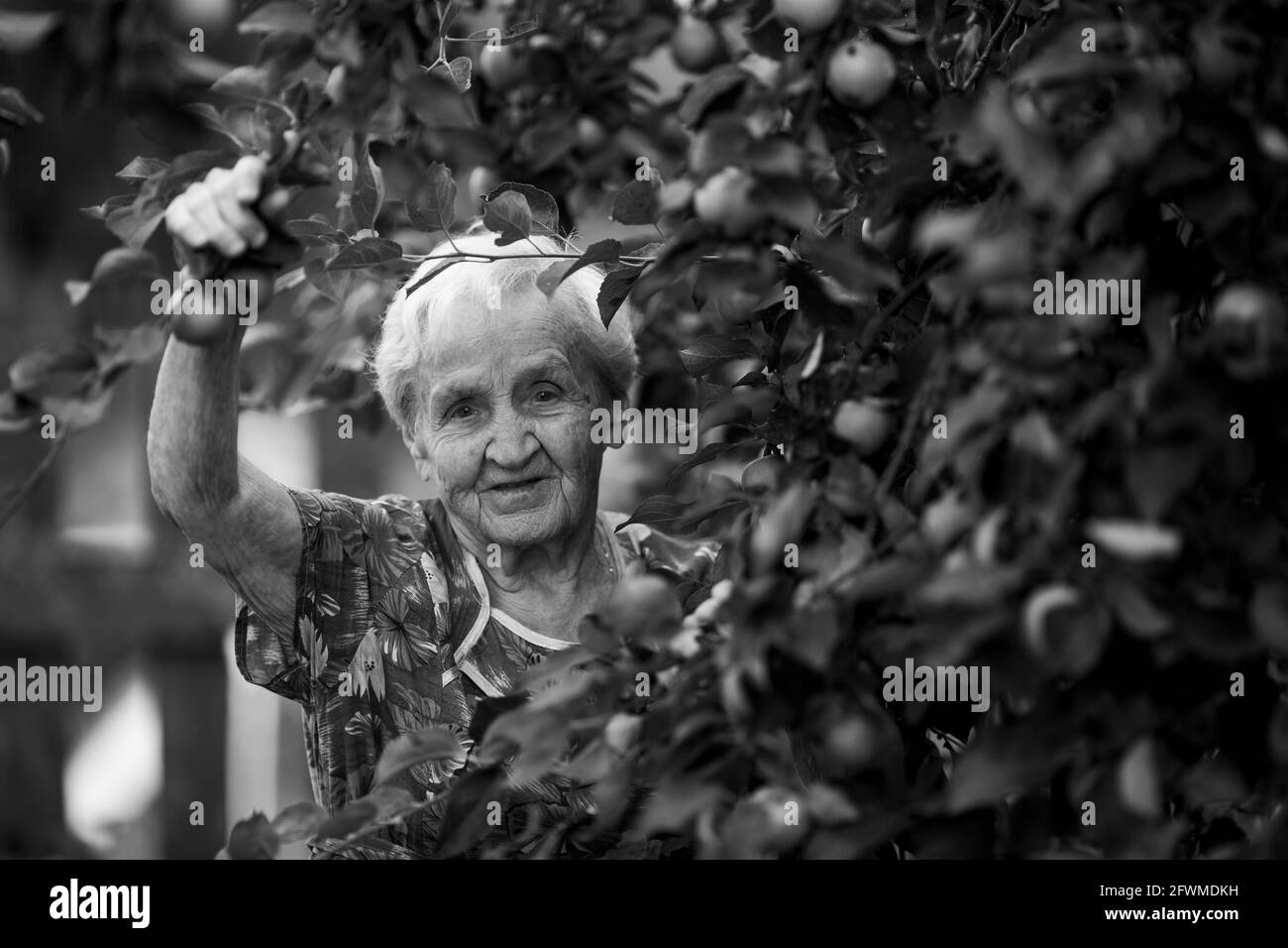 Portrait d'une vieille femme dans le jardin. Photo en noir et blanc. Banque D'Images