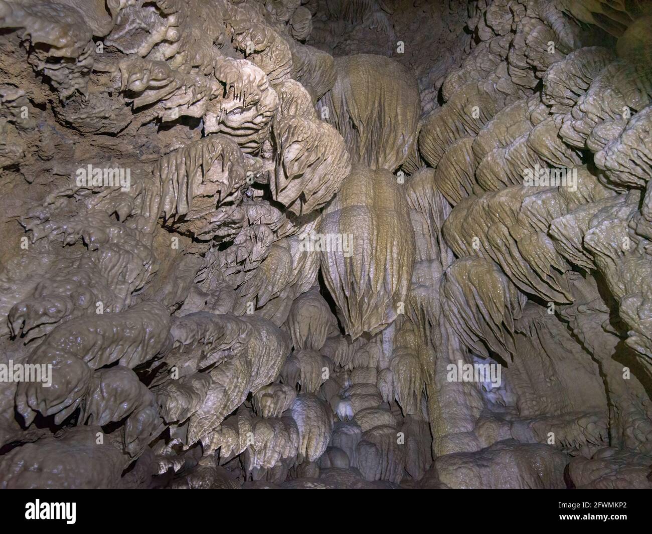 Paradise a perdu la chambre dans le monument national des grottes de l'Oregon, dans le sud de l'Oregon. Banque D'Images