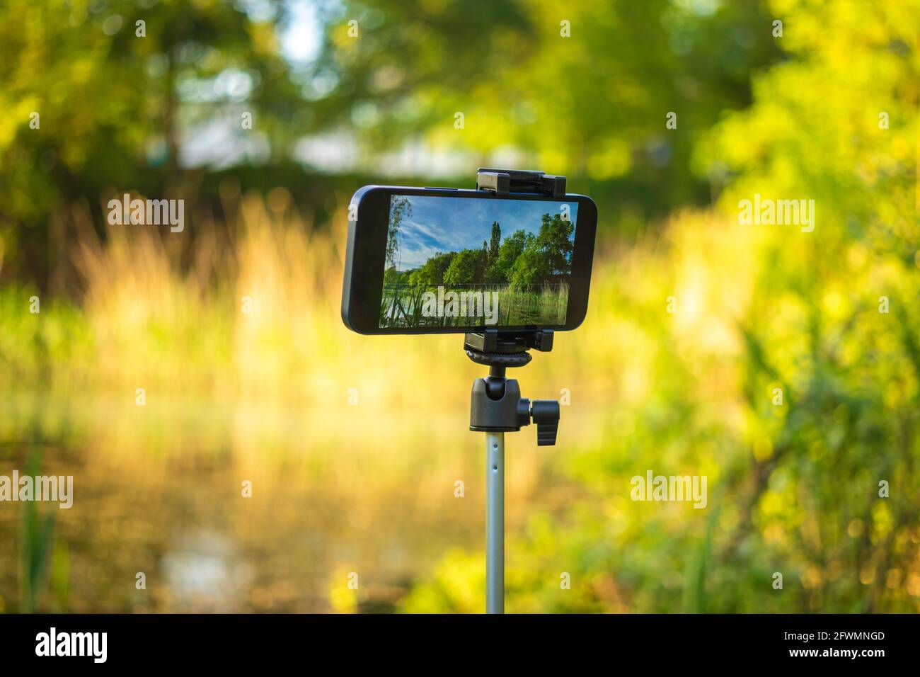 Téléphone mobile la prise de photos et la vidéo ne s'est pas prise sur selfie stick, trépied, fond de la nature, Voyage mobile photographie concept Banque D'Images