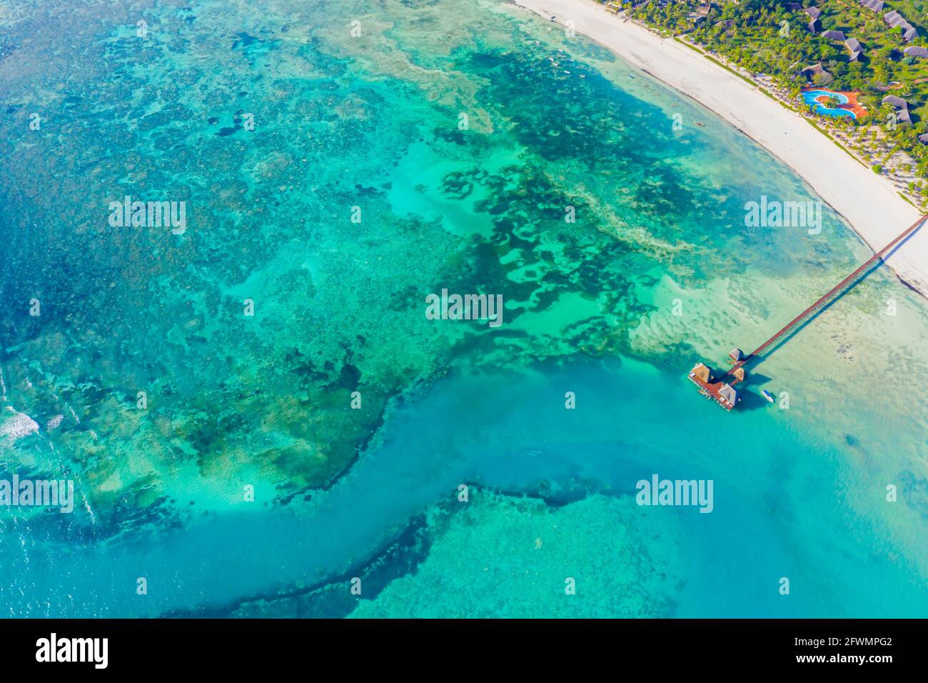 Vue aérienne des palmiers sur la plage de sable d'Indian Océan au soleil Banque D'Images