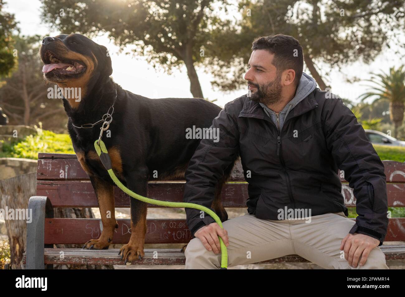 homme assis sur un banc de parc avec son chien rottweiler Banque D'Images