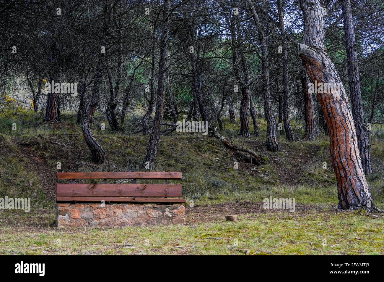 herbes d'automne sèches dans les montagnes avec le reflet de le soleil dans la campagne Banque D'Images