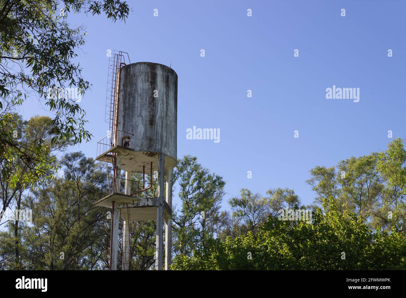 Ancien réservoir d'eau dans la forêt. Banque D'Images