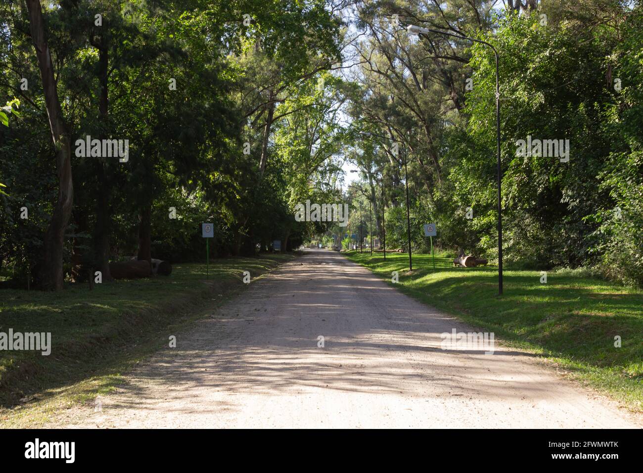 Route de terre sur la forêt. Banque D'Images