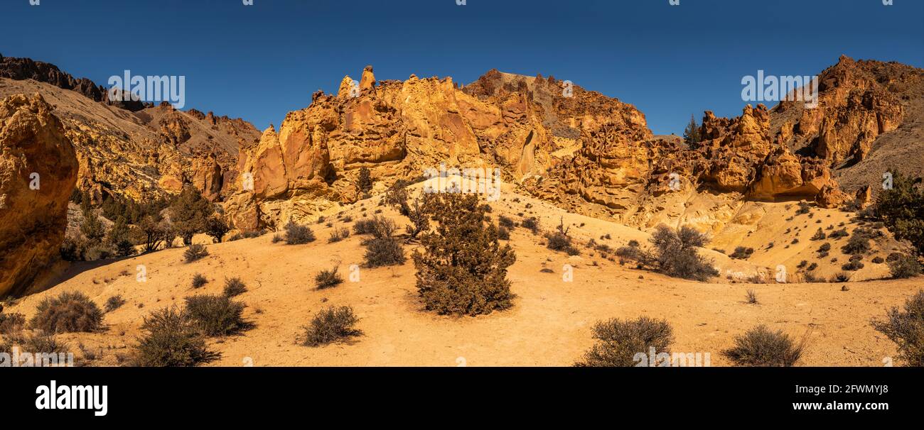 Image panoramique de l'« amphithéâtre » le long de la piste de Leslie Gulch Juniper. Banque D'Images