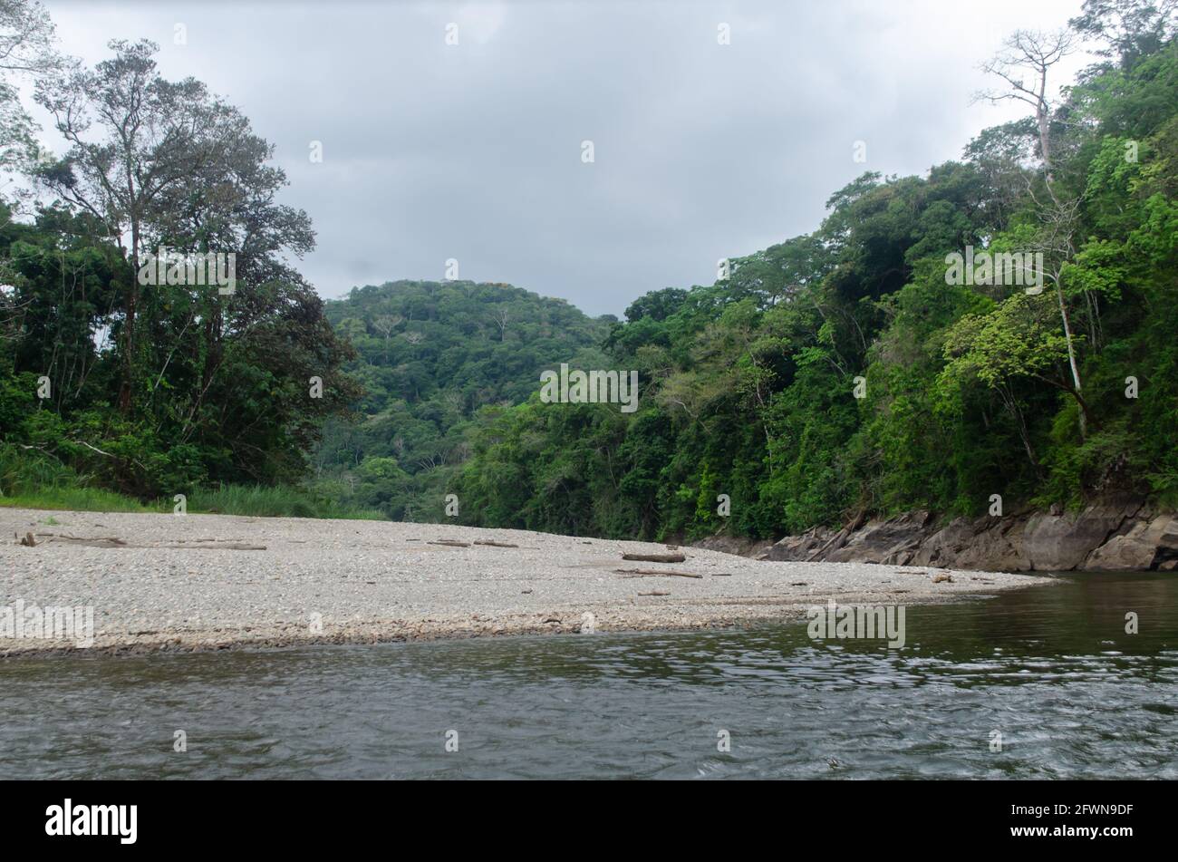 Landscape de la rivière Chagres Banque D'Images
