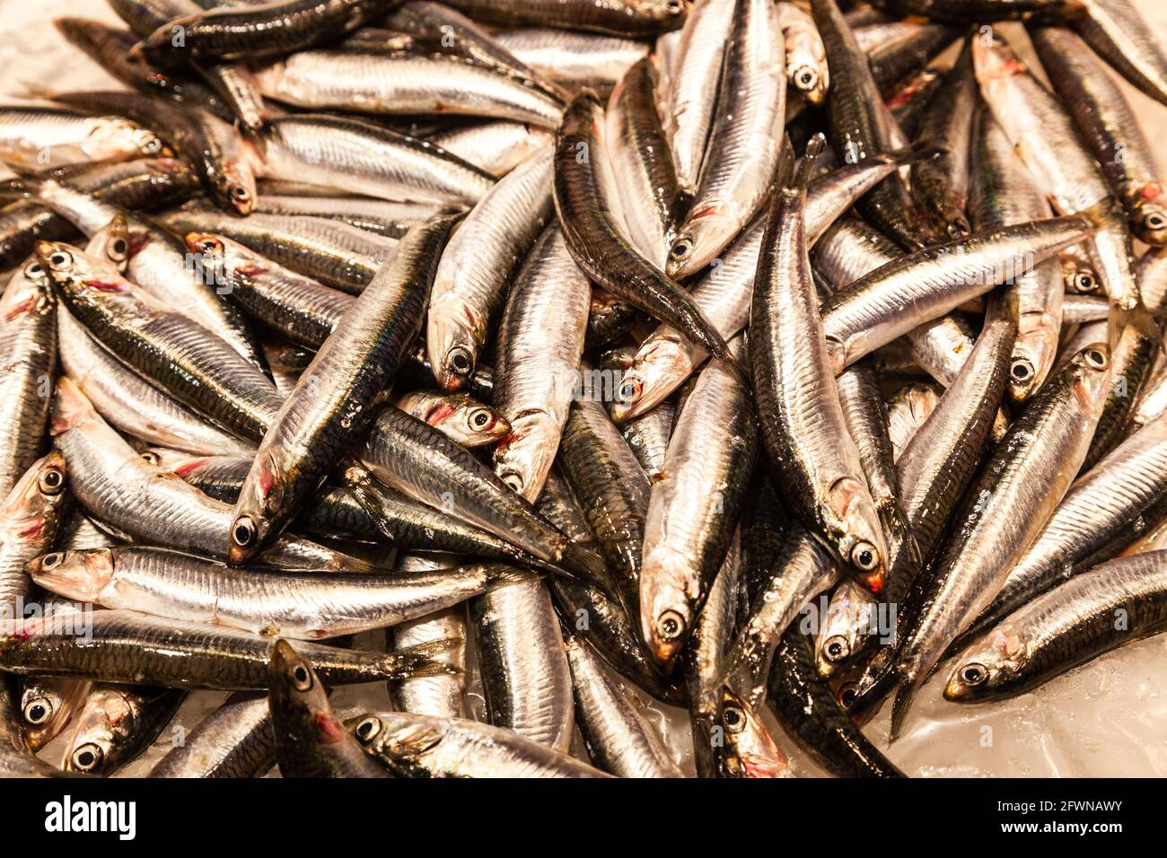 Petit poisson argenté sur le marché asiatique Banque D'Images