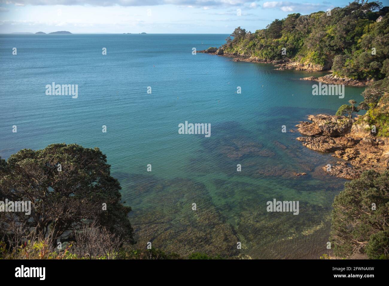 Waiheke Island, Nouvelle-Zélande. Vue sur le paysage côtier dans l'après-midi Banque D'Images