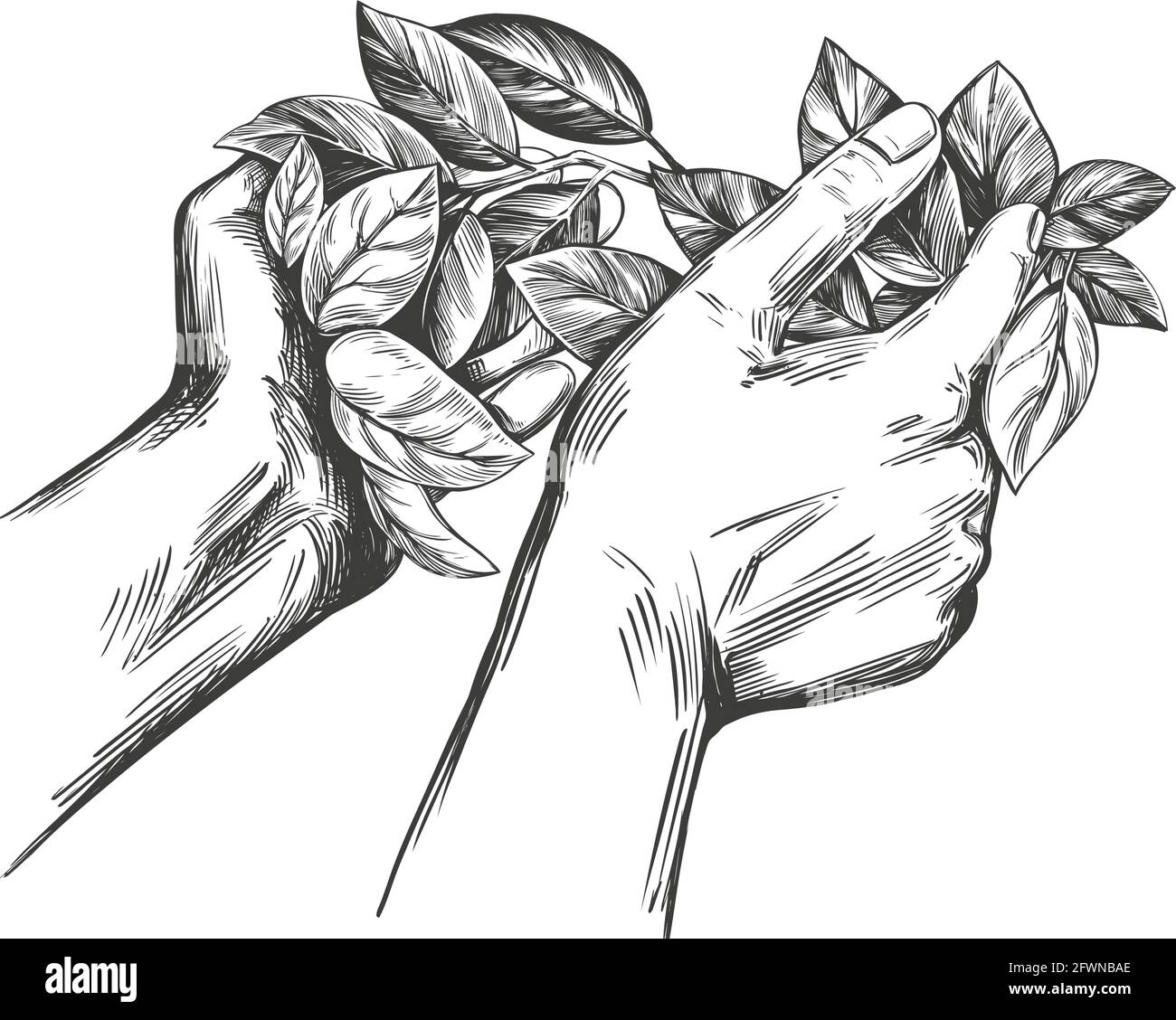 prix, couronne de laurier dans les mains , dessin à la main illustration vectorielle esquisse réaliste. Illustration de Vecteur