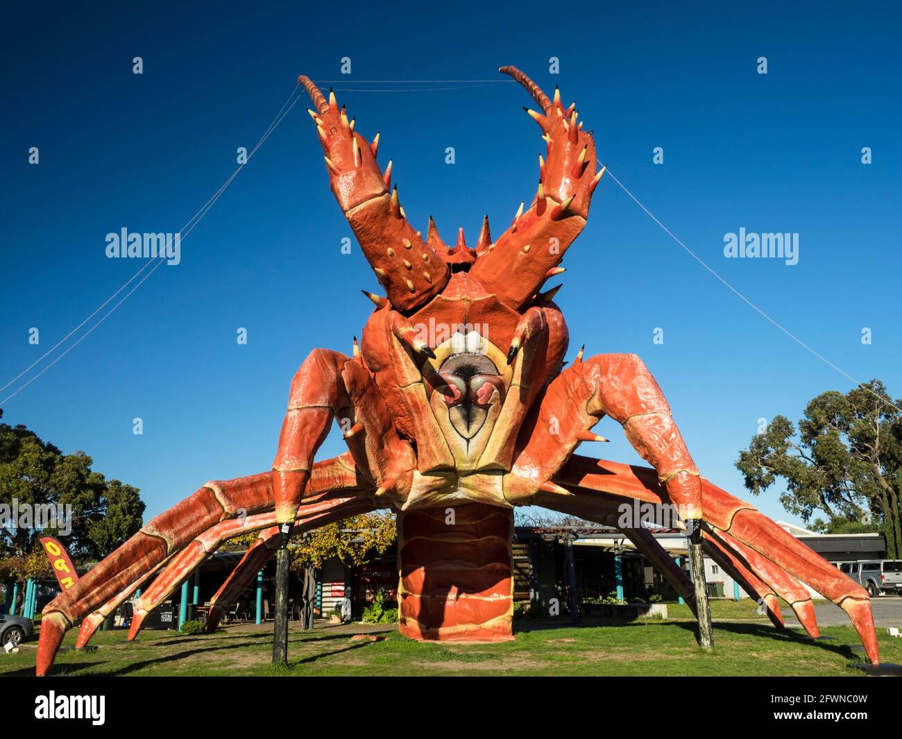 The Big Lobster, Kingston se, Australie-Méridionale. Banque D'Images
