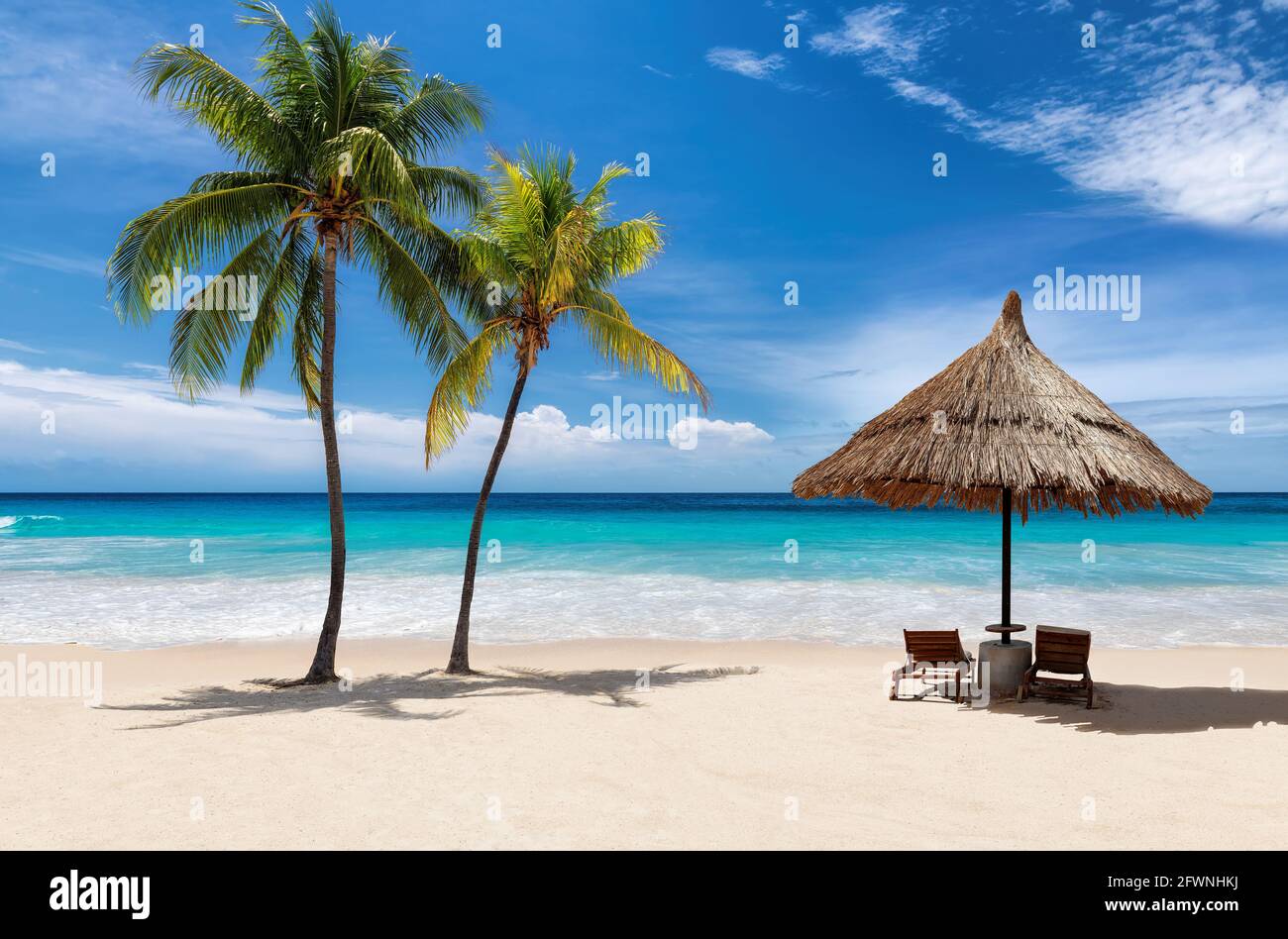 Plage ensoleillée coco palmiers, parapluie, mer tropicale dans les Caraïbes. Banque D'Images