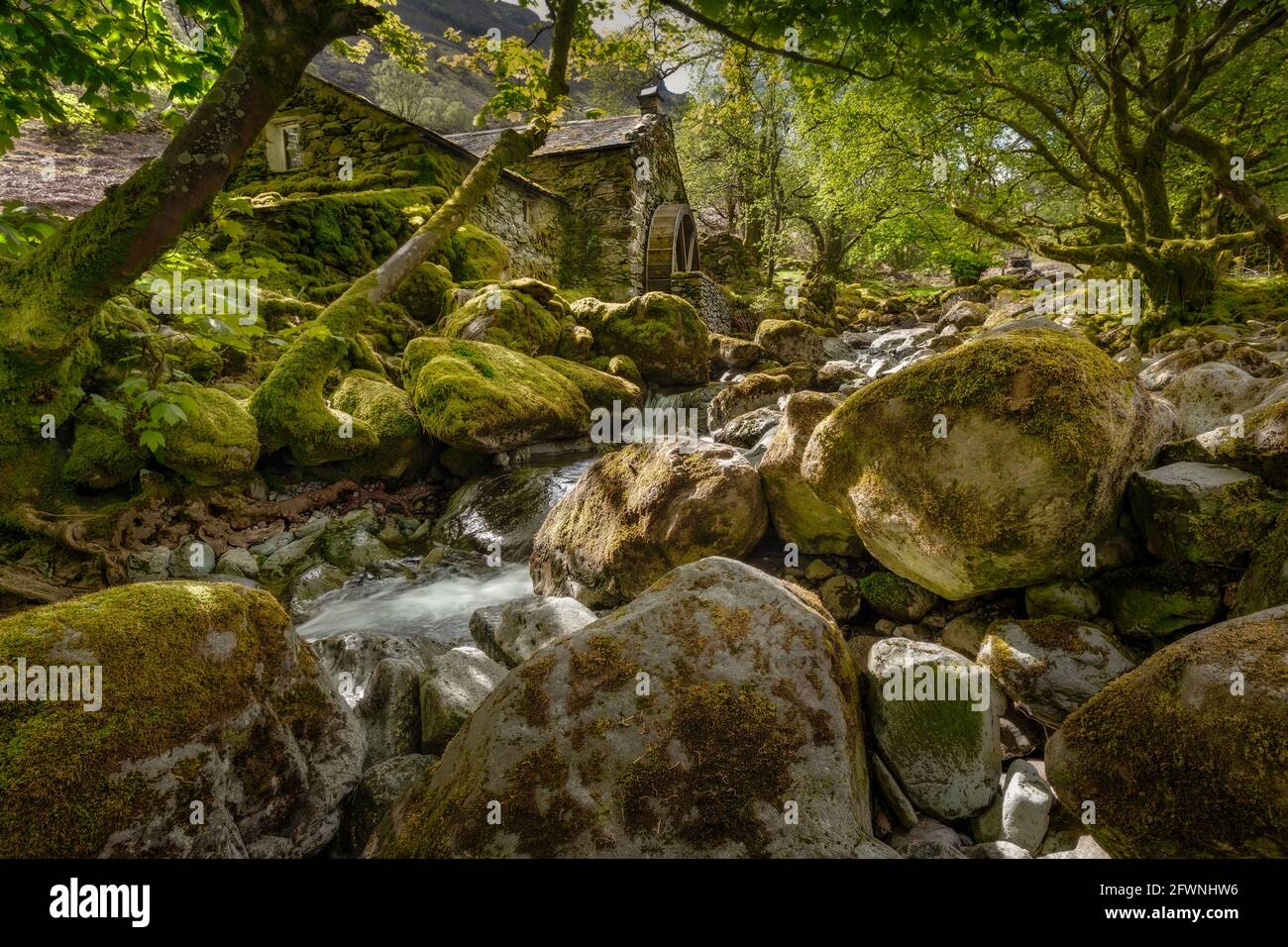 Scaleber Force une cascade à plusieurs niveaux près de s'établir dans le parc national de Yorkshire Dales. Banque D'Images