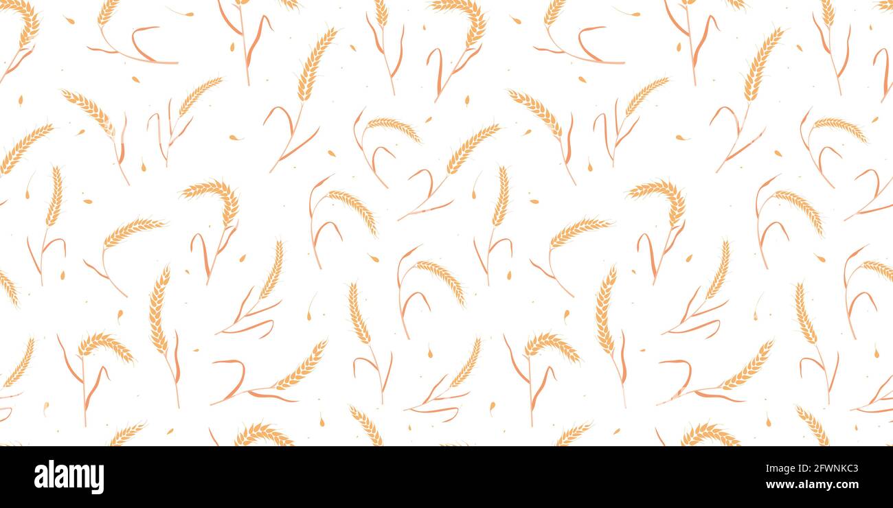 Motif sans couture avec graines de grain entier organique, oreilles naturelles isolées sur fond blanc. Illustration de Vecteur