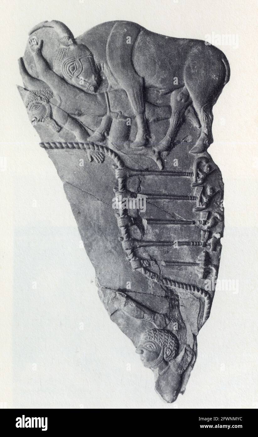 Palette d'ardoise montrant un taureau puissant, représentant le pharaon attaquant un ennemi. De Hierakonpolis. 3100 AV. J.-C. Banque D'Images