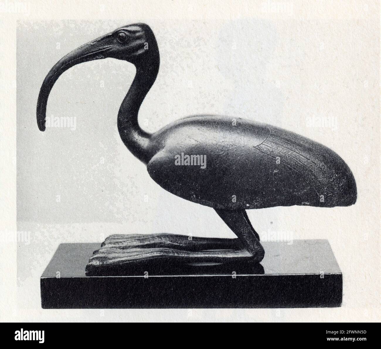 Figure en bronze d'un Ibis, l'oiseau sacré au Dieu Thoth. Période Saite-Ptolémaïque Banque D'Images