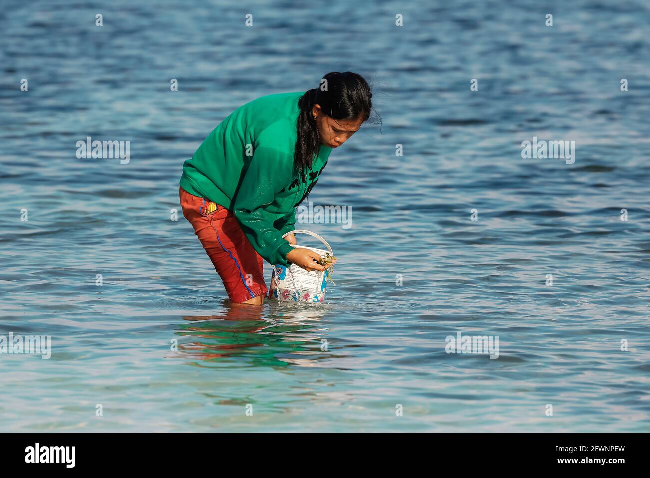 Femme locale qui récolte des algues de la mer sur cette belle plage de la ville de l'extrême sud ; Tanjung Bira, Sulawesi du sud, Indonésie Banque D'Images