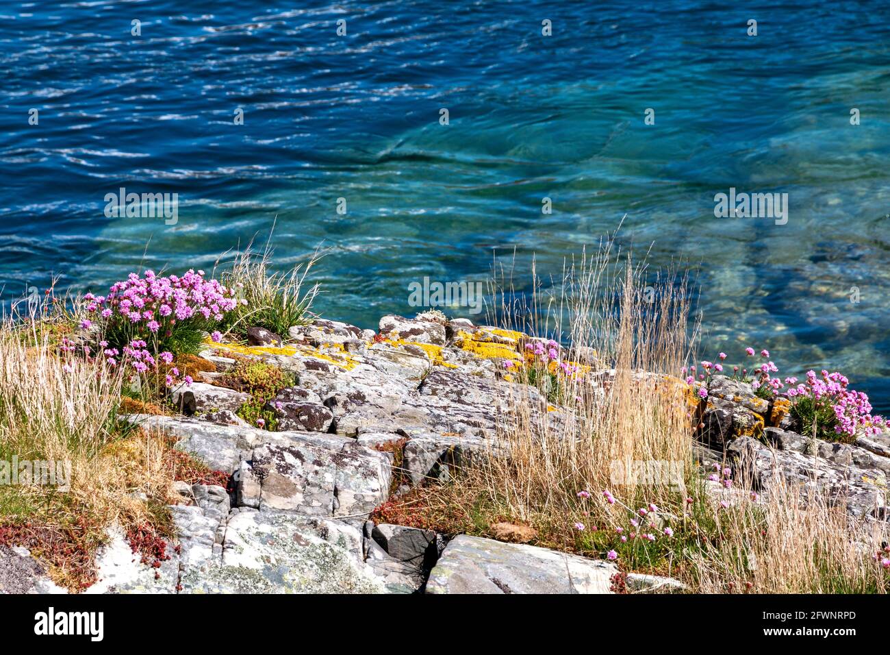 Kyle rhea strait Banque de photographies et d’images à haute résolution ...