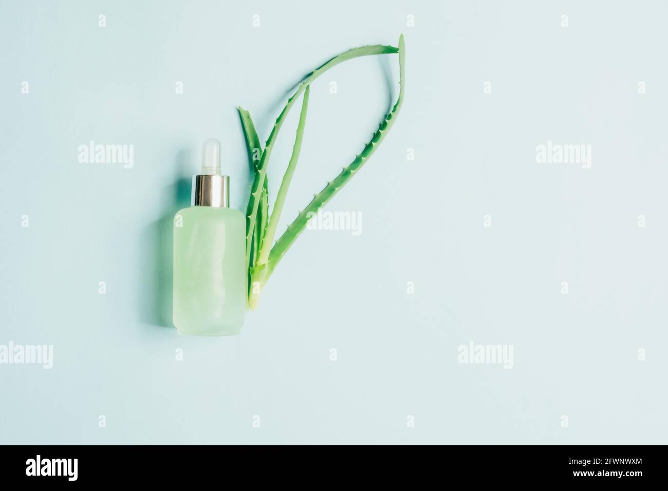 Bouteille d'huile d'aloès fraîche naturelle gel antiseptique sérum liquide agent cosmétique transparent laisse bleu pastel fond. Cosmétiques naturels biologiques. Plat Banque D'Images