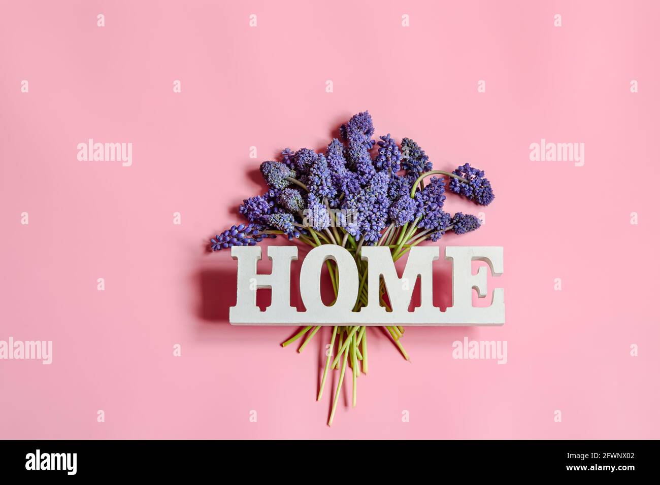 Composition de printemps minimaliste avec fleurs bleues et le mot décoratif home. Banque D'Images
