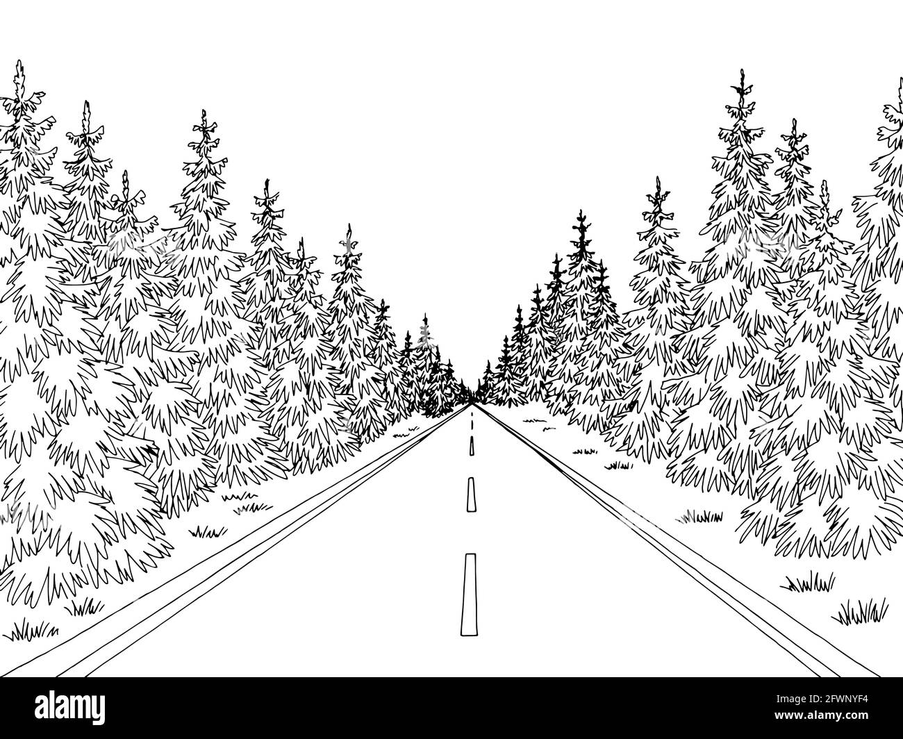 Forêt route graphique noir blanc paysage dessin vecteur d'illustration Illustration de Vecteur