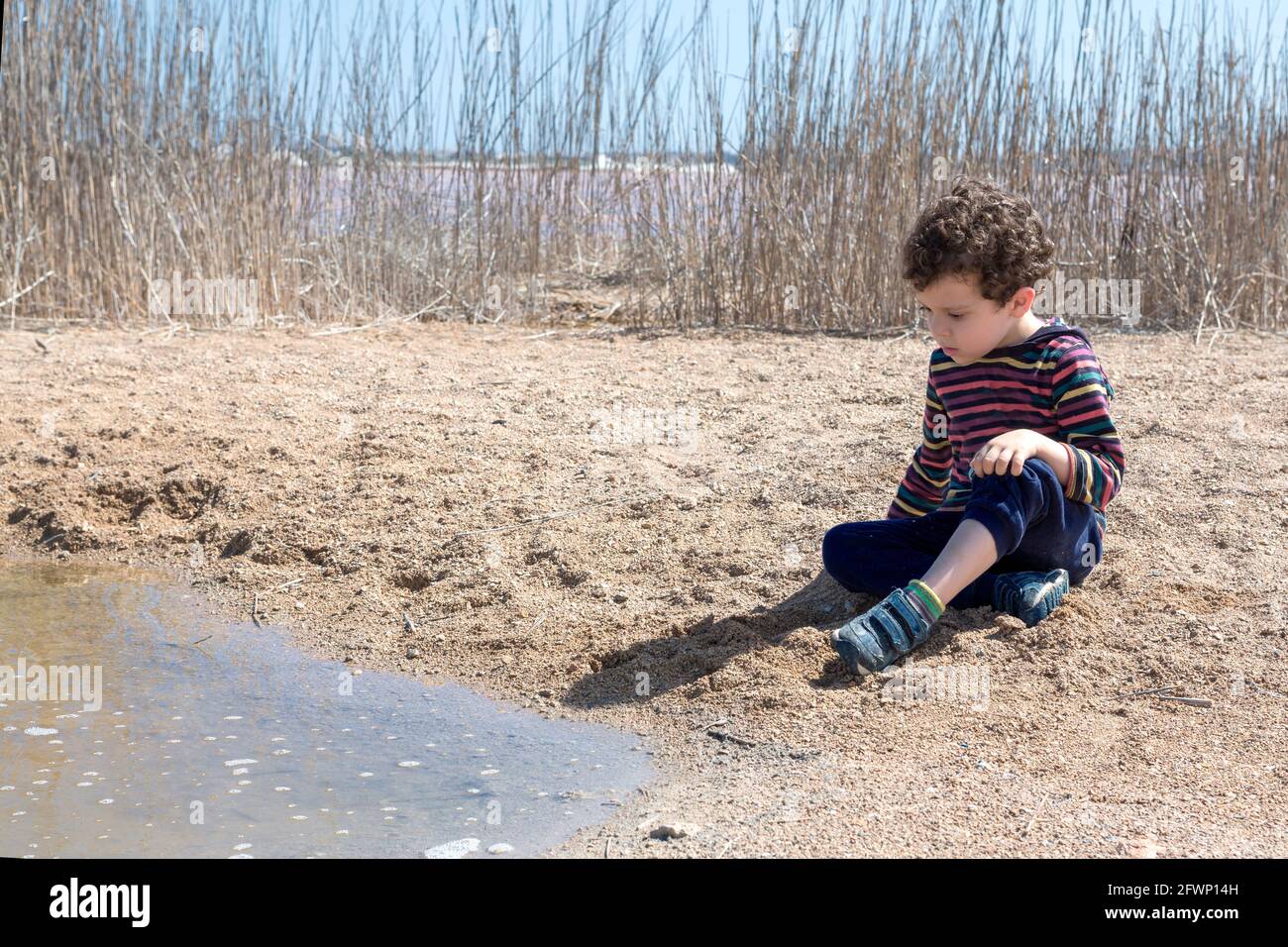 Petit garçon de 4-5 ans caucasien avec des cheveux bouclés, jouant avec le sable au bord de l'étang le jour ensoleillé avec une chemise à rayures colorées Banque D'Images