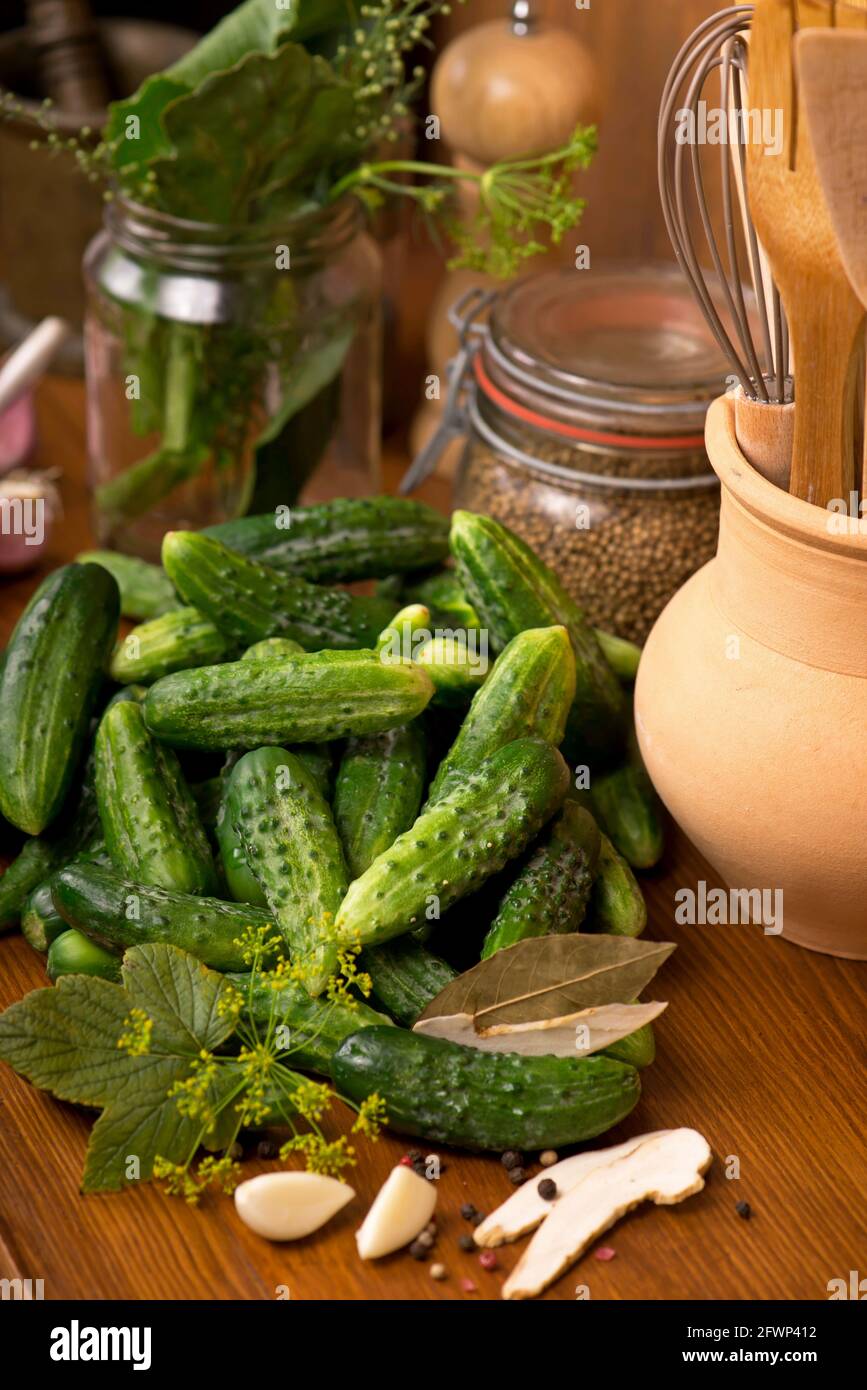 La nourriture. Produits biologiques, aliments sains, récolte pour usage futur, légumes en cornichon, cornichons. Concombres à l'ail, sel, aneth Banque D'Images