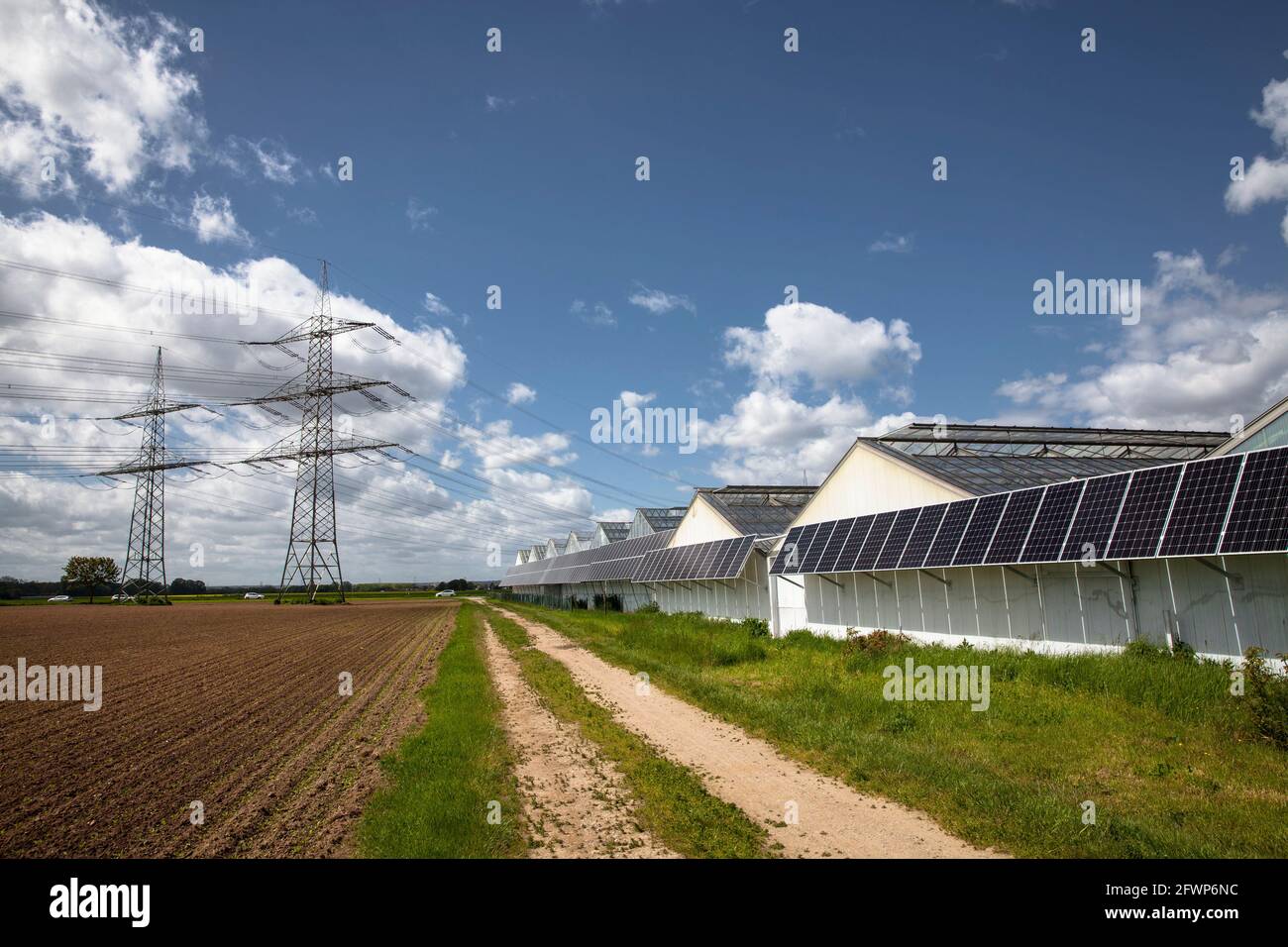 Modules photovoltaïques, panneaux solaires sur les serres d'une pépinière à Pulheim-Sinnersdorf, Rhénanie-du-Nord-Westphalie, Allemagne. Photovoltaikanlage, ainsi Banque D'Images