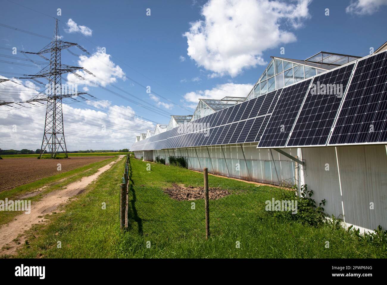 Modules photovoltaïques, panneaux solaires sur les serres d'une pépinière à Pulheim-Sinnersdorf, Rhénanie-du-Nord-Westphalie, Allemagne. Photovoltaikanlage, ainsi Banque D'Images