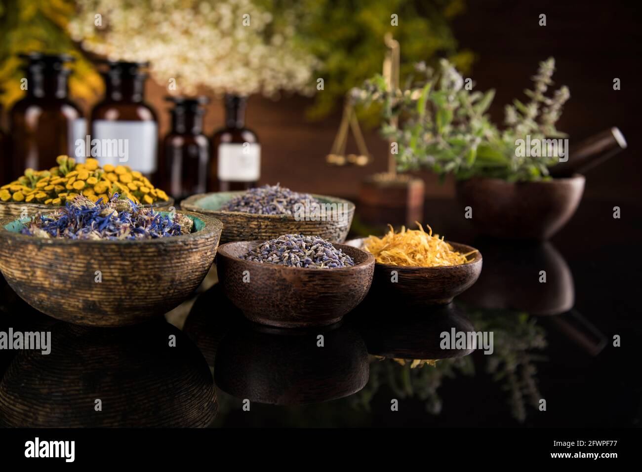 Homéopathie, médecine de fines herbes sur table en bois, fond miroir noir Banque D'Images