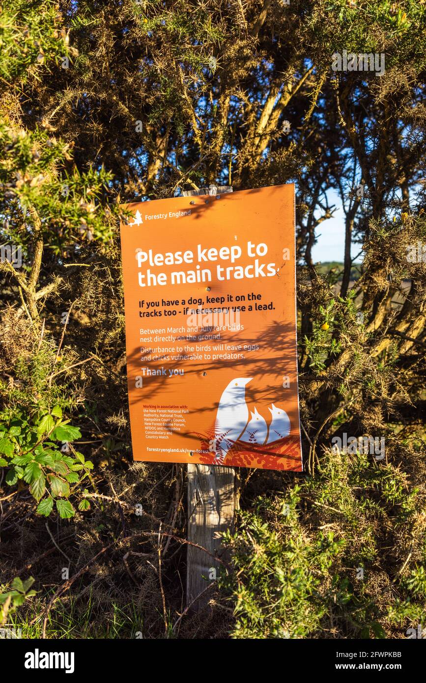 Forestry England signe exhortant les gens à se tenir sur les voies principales pour protéger les oiseaux nicheurs du terrain dans le New Forest National Park, Hampshire, Angleterre, Royaume-Uni Banque D'Images