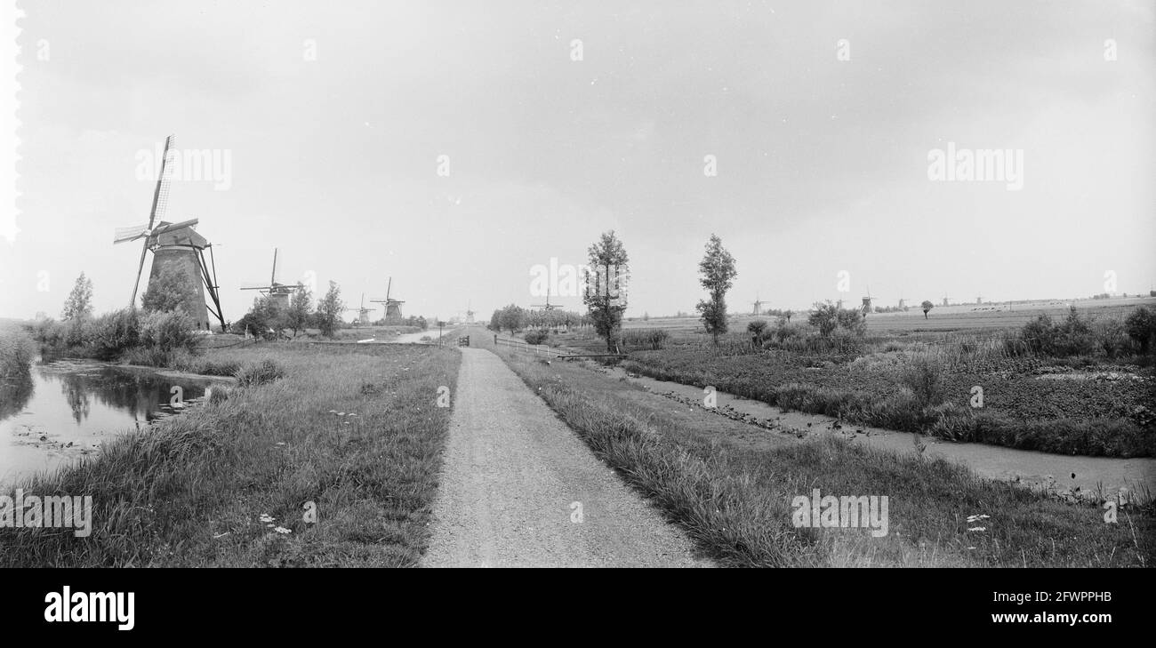 Mills près de Kinderdijk, 17 juillet 1957, MOLENS, pays-Bas, agence de presse du xxe siècle photo, nouvelles à retenir, documentaire, photographie historique 1945-1990, histoires visuelles, L'histoire humaine du XXe siècle, immortaliser des moments dans le temps Banque D'Images