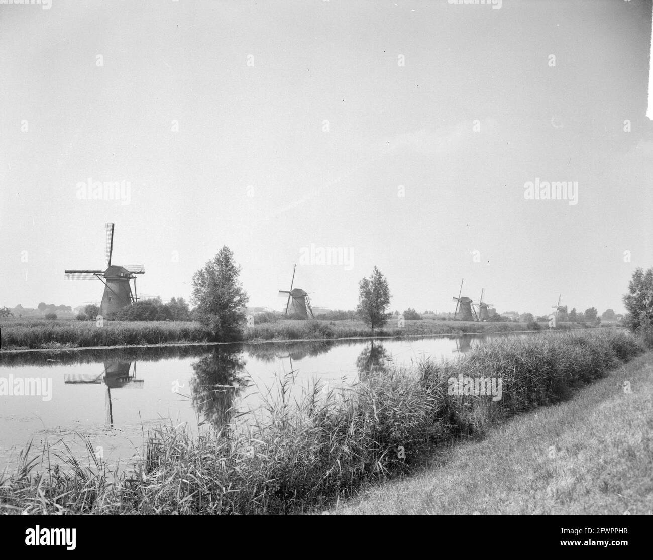 Mills on the Kinderdijk, 1er juillet 1961, MOLENS, pays-Bas, agence de presse du xxe siècle photo, nouvelles à retenir, documentaire, photographie historique 1945-1990, histoires visuelles, L'histoire humaine du XXe siècle, immortaliser des moments dans le temps Banque D'Images