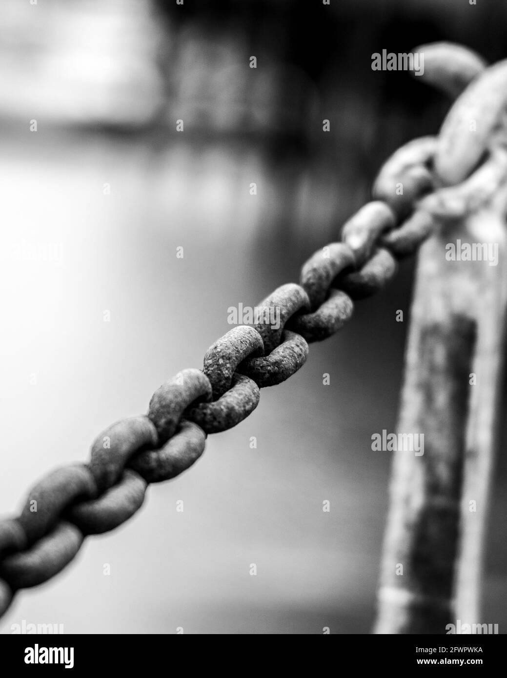 Clôture à maillons de chaîne en noir et blanc avec une faible profondeur de champ. Banque D'Images