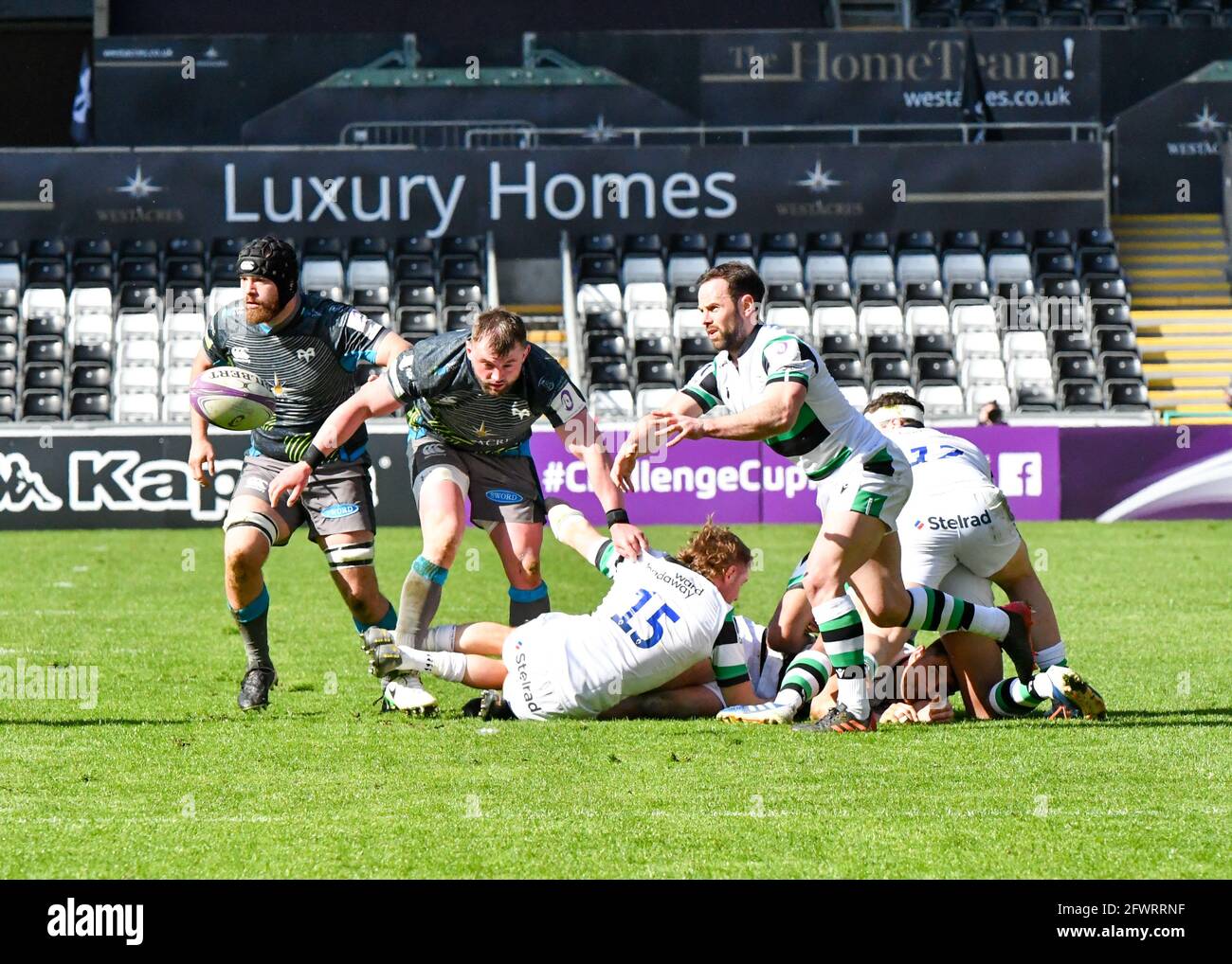 Swansea, pays de Galles. 3 avril 2021. Micky Young, de Newcastle Falcons, passe le ballon lors du match de la coupe du défi européen de rugby de 16 entre Osprey et Newcastle Falcons au Liberty Stadium de Swansea, pays de Galles, Royaume-Uni, le 3 avril 2021. Les stades sportifs du Royaume-Uni restent soumis à des restrictions strictes en raison de la pandémie du coronavirus, car les lois de distanciation sociale du gouvernement interdisent aux fans à l'intérieur des lieux, ce qui entraîne des matchs à huis clos. Crédit : Duncan Thomas/Majestic Media. Banque D'Images