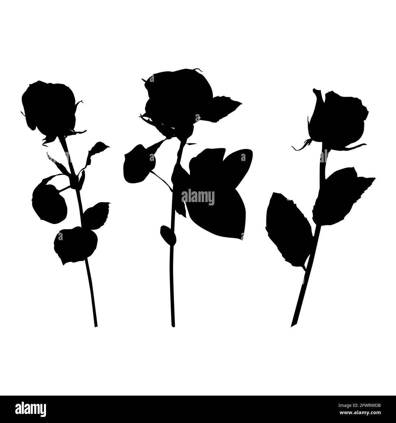 Ensemble de silhouette de fleur rose noire, illustration vectorielle. Fleur de jardin en fleurs Illustration de Vecteur