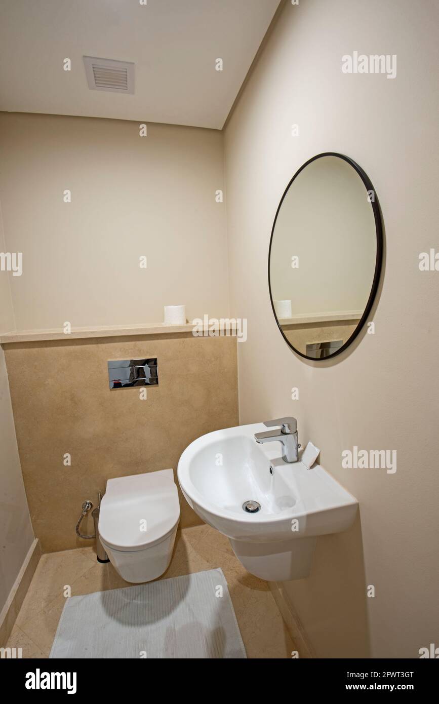 Décoration intérieure d'une salle de bain luxueuse avec toilettes et évier Banque D'Images