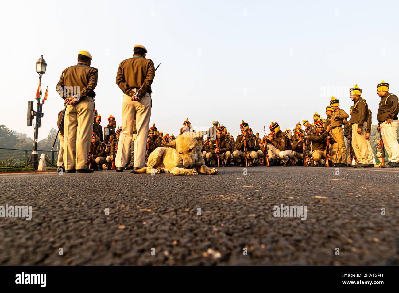 un chien est assis sur la route et la police de delhi pendant leurs répétitions pour la journée de la république indienne à delhi. Banque D'Images