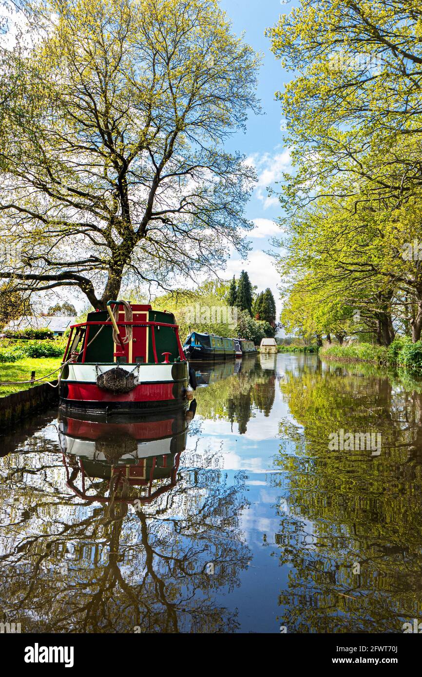 La rivière Wey Navigations, avec des bateaux étroits traditionnels amarrés lors d'une journée de printemps/été encore ensoleillée en amont de Papercourt Lock Ripley Surrey, Royaume-Uni Banque D'Images