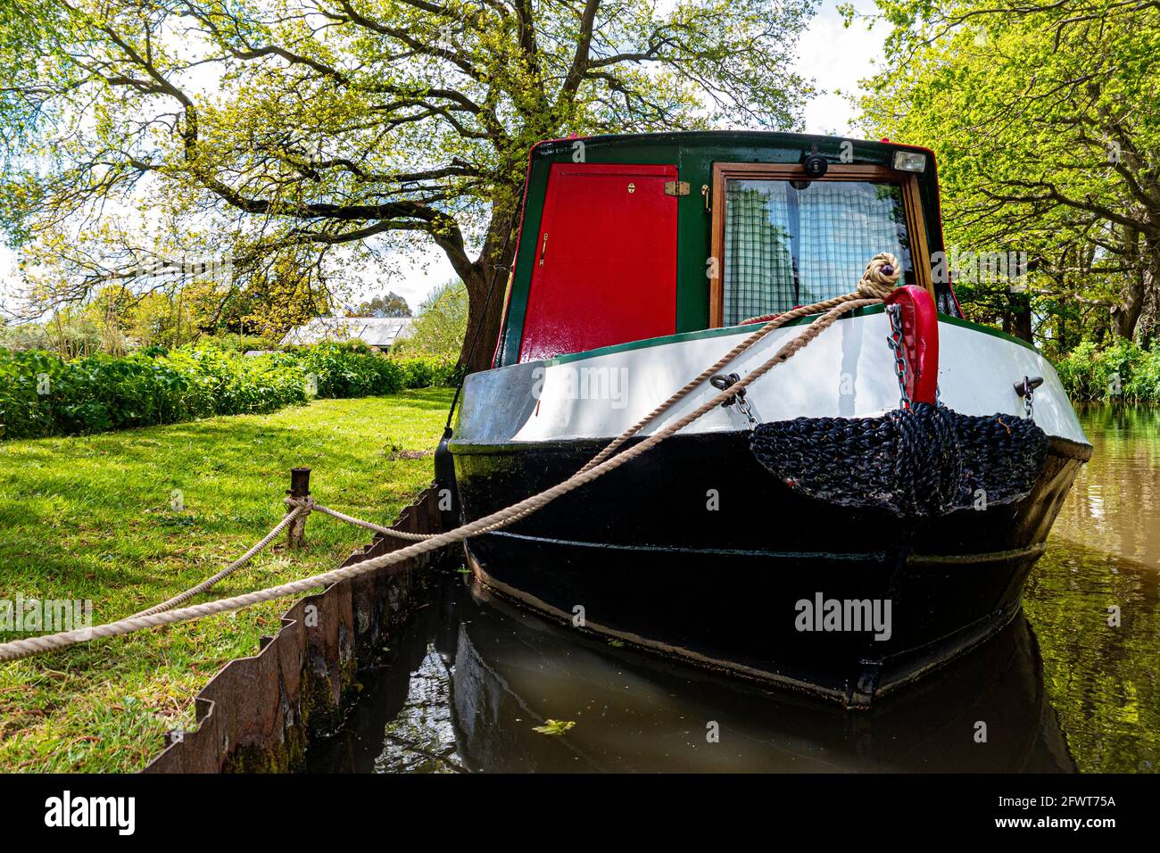 RIVIÈRE Wey Spring bateau à rames amarré sur la rivière Wey Navigations En amont de l'écluse de Papercourt à Spring Surrey, Angleterre, Royaume-Uni Banque D'Images