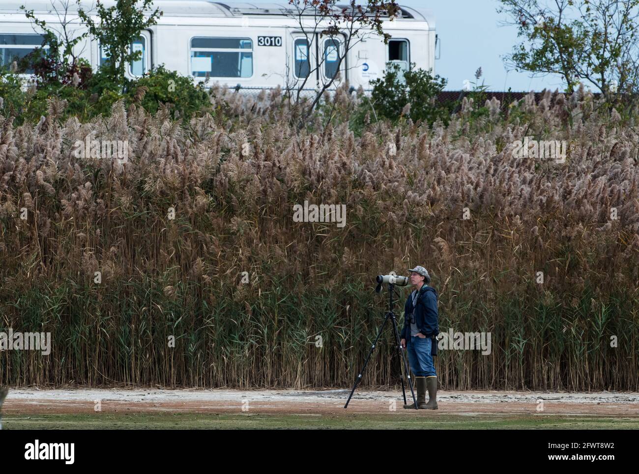 Observation des oiseaux à l'East Pond de la réserve naturelle nationale de Jamaica Bay En passant UN train Banque D'Images