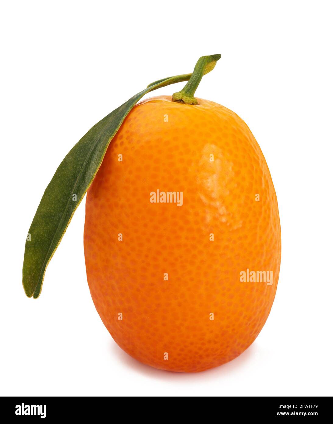 fruit kumquat mûr isolé sur fond blanc Banque D'Images