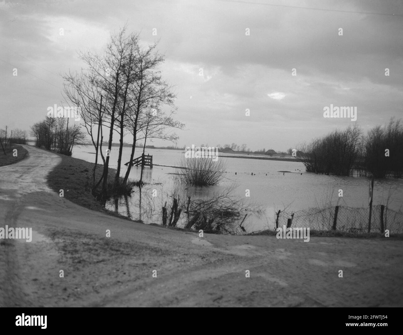 Terrain inondé près de Meppel, 22 janvier 1959, LANDERIJEN, inondé, pays-Bas, agence de presse du xxe siècle photo, nouvelles à retenir, documentaire, photographie historique 1945-1990, histoires visuelles, L'histoire humaine du XXe siècle, immortaliser des moments dans le temps Banque D'Images