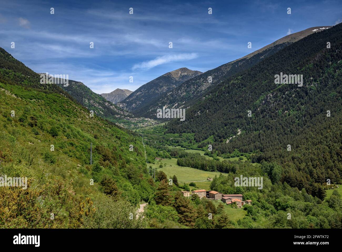 Vue générale de la vallée de Llosa au printemps (Cerdanya, Catalogne, Espagne, Pyrénées) ESP: Vista général del valle de la Llosa en primavera (España) Banque D'Images