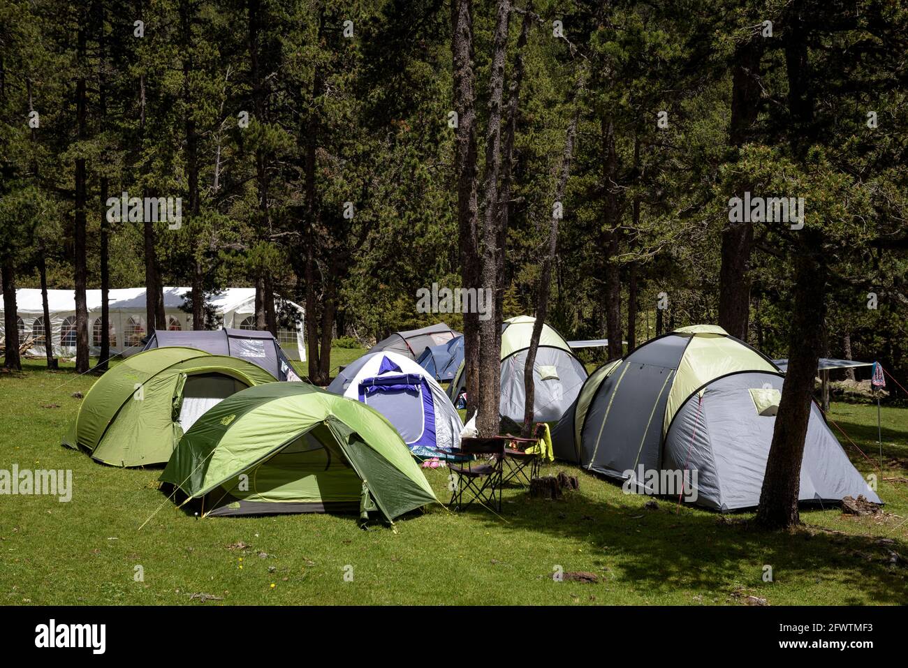 Vallée de Llosa à la Cerdanya. Camping tentes dans la vallée au printemps (Cerdanya, Catalogne, Espagne, Pyrénées) ESP: Valle de la Llosa. Tiendas de cámping Banque D'Images