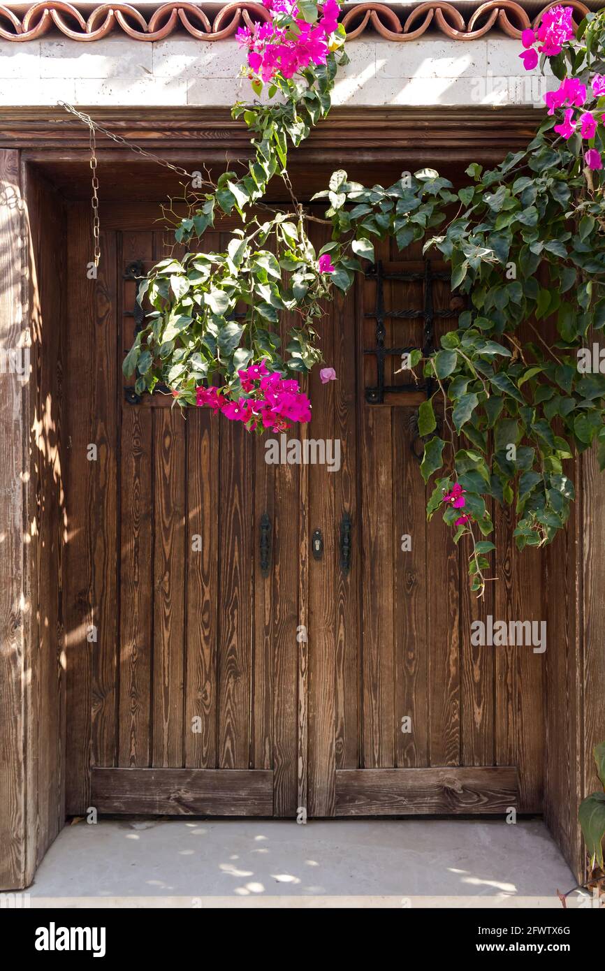 Vue rapprochée de l'ancienne porte en bois et des bougainvilliers dans la célèbre ville touristique de la mer Égée appelée Sigacik. C'est un village du quartier de Seferihisar Banque D'Images